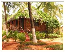 Slider image (5) Indus Valley Ayurveda Center